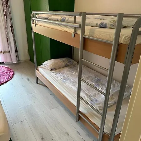 In Nr 223 * 圣恩吉玛
